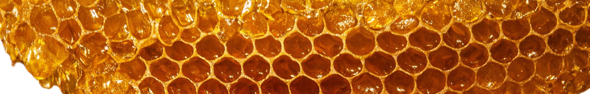 Bivax block
